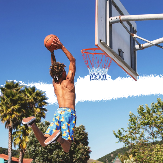B2X Basketball Hoop Wall Mounted Basketball Hoop Professional Dunking Basketball Hoop For Indoor And Out på