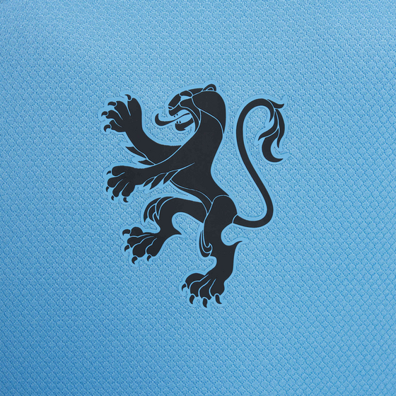 NIKE Big Kids' Dri-fit Soccer Replica Jersey Netherlands 2025 Stadium Away (women's Team) på