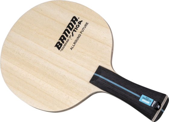 STIGA Bordtennisstomme Banda By Stiga Allround Future - Master på