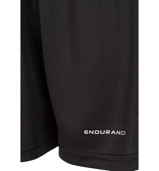 ENDURANCE Carnew Shorts på