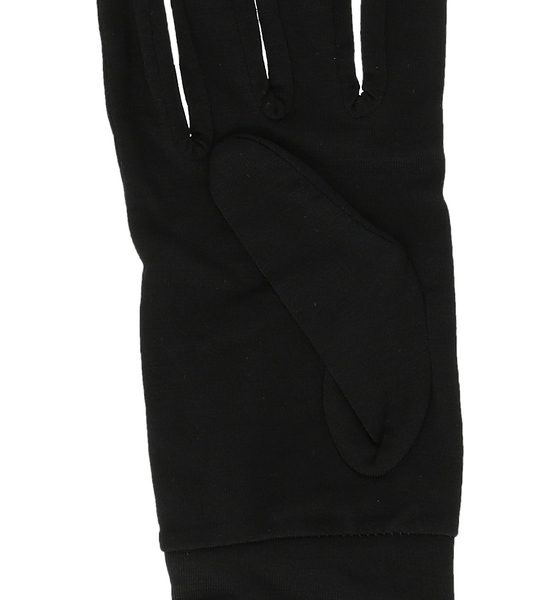 WHISTLER Dane Gloves på