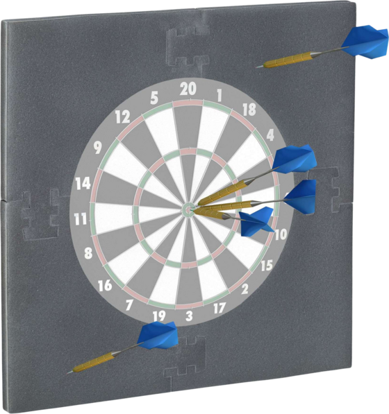 B2X Dart Wall Protection R6" på