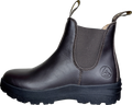 AVIGNON Darwin Jodhpurs Läder på