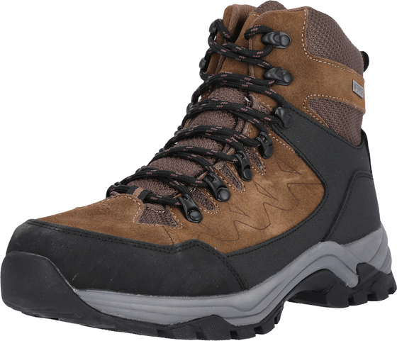 WHISTLER Detion Hiking Shoes på
