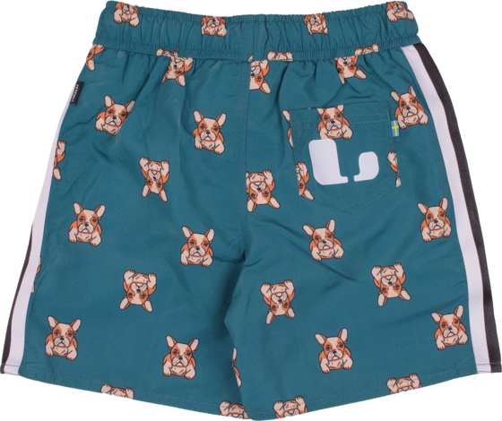 LINDBERG Dexter Beach Shorts på