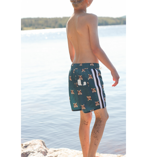 LINDBERG Dexter Beach Shorts på