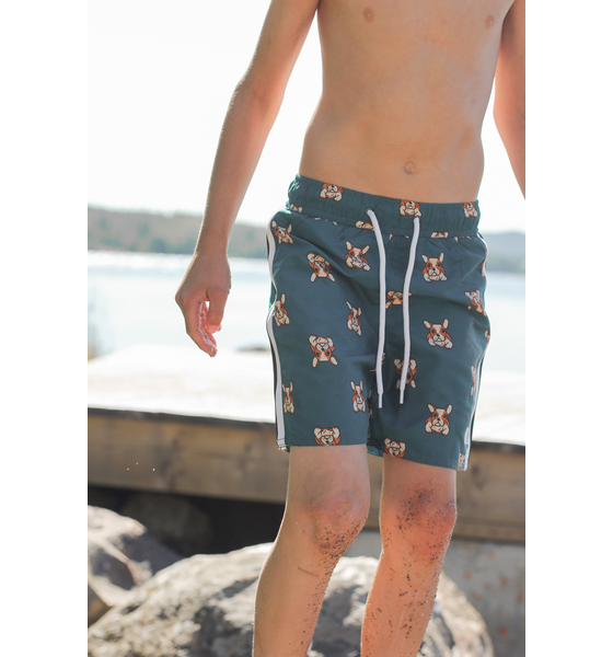 LINDBERG Dexter Beach Shorts på