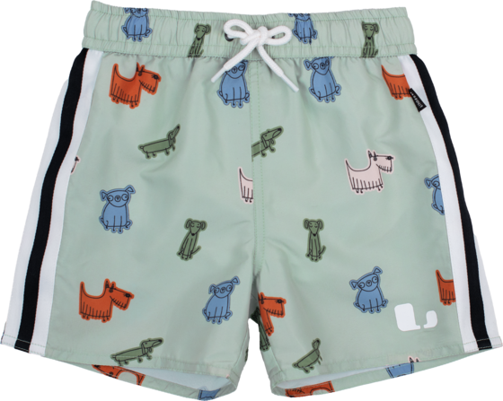 LINDBERG Dexter Beach Shorts på