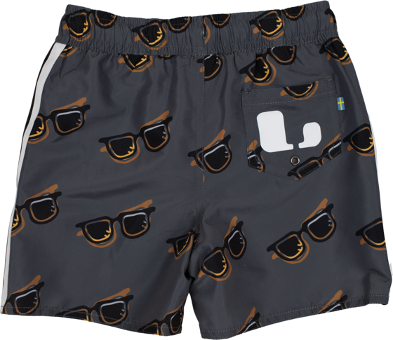 LINDBERG Dexter Beach Shorts på
