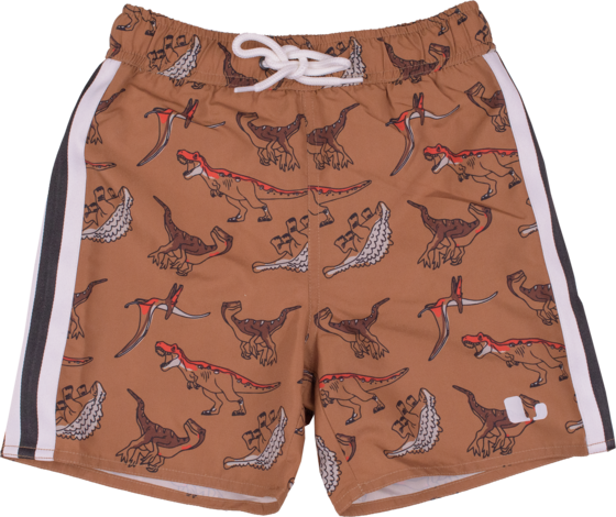 LINDBERG Dexter Beach Shorts på