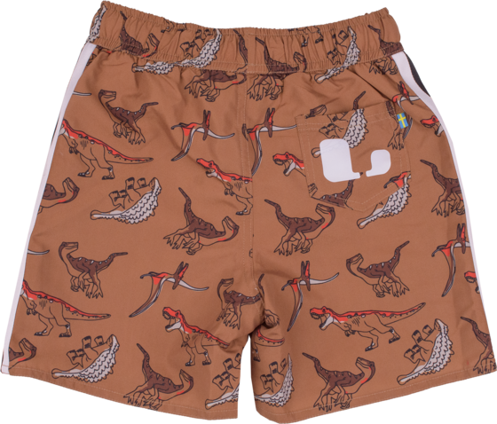 LINDBERG Dexter Beach Shorts på