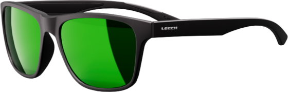 LEECH EYEWEAR Eagle Pa Cl-earth på