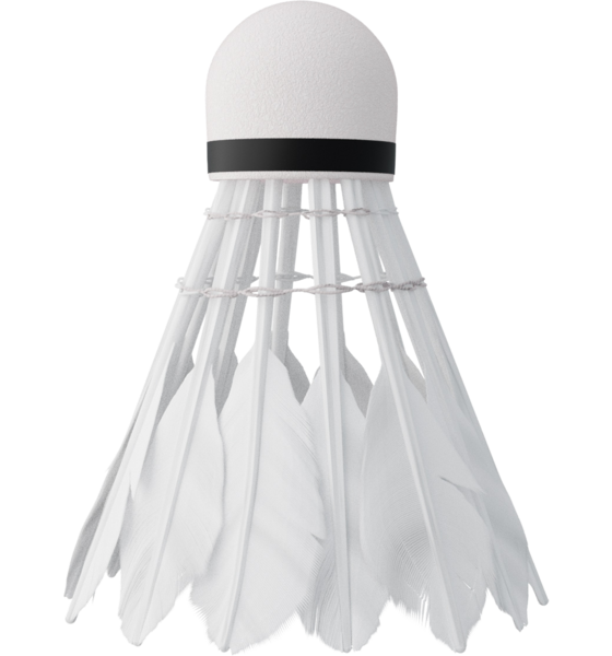 NORTHIX Feather Shuttlecocks, 6 Pack på