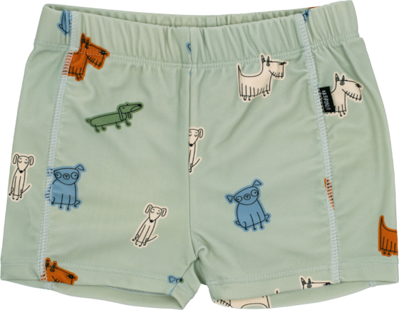 LINDBERG Finn Swim Trunks på