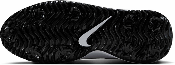 NIKE Golf Shoes Victory Pro 4 på