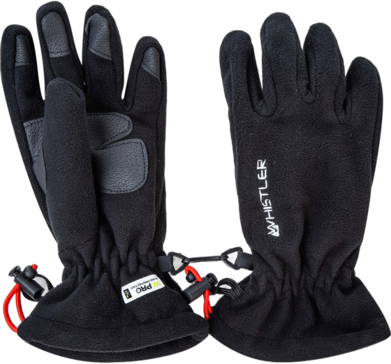 WHISTLER Hastings Gloves på