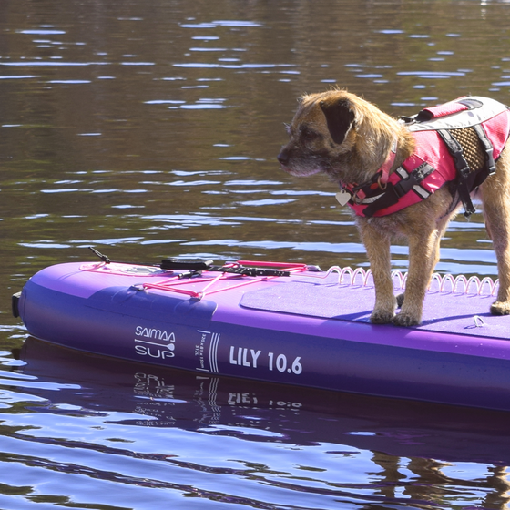SAIMAA SUP Lily Sup Set, 320 X 81cm på
