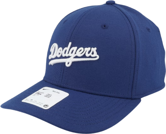 NIKE Los Angeles Dodgers Swooshflex på