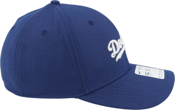 NIKE Los Angeles Dodgers Swooshflex på