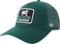 AMERICAN NEEDLE Mack Trucks Valin på