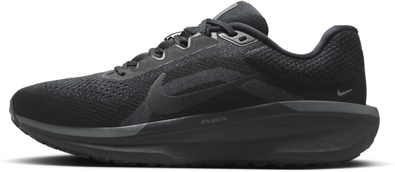 NIKE Men's Road Running Shoes Winflo 11 på