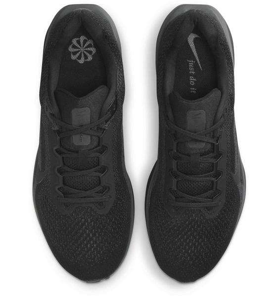 NIKE Men's Road Running Shoes Winflo 11 på