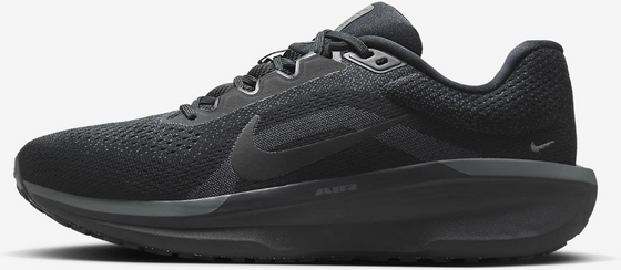 NIKE Men's Road Running Shoes Winflo 11 på