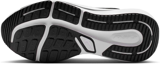 NIKE Men's Road Running Shoes Winflo 12 på