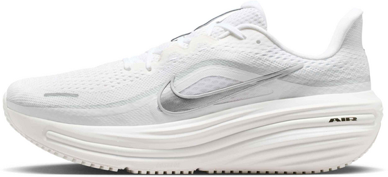 NIKE Men's Road Running Shoes Winflo 12 på
