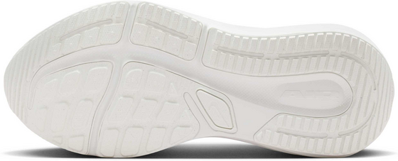NIKE Men's Road Running Shoes Winflo 12 på