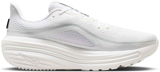 NIKE Men's Road Running Shoes Winflo 12 på