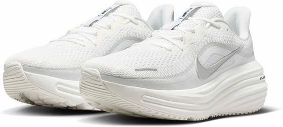 NIKE Men's Road Running Shoes Winflo 12 på
