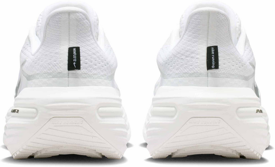 NIKE Men's Road Running Shoes Winflo 12 på