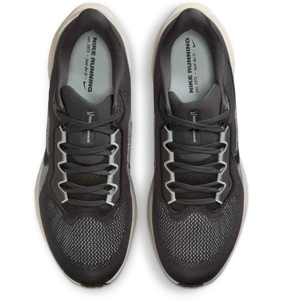 NIKE Men's Road-running Shoes Pegasus 41 på