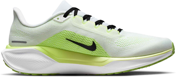 NIKE Men's Road-running Shoes Pegasus 41 på