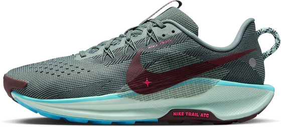 NIKE Men's Trail-running Shoes Pegasus Trail 5 på