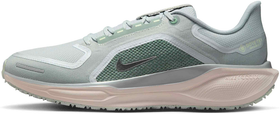 NIKE M Pegasus 41 Gore-Tex på