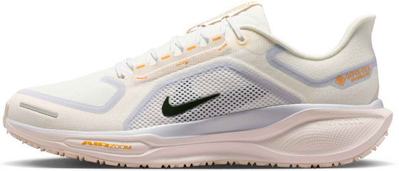 NIKE M Pegasus 41 Gore-Tex på