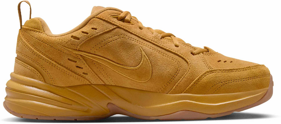 NIKE Men's Workout Shoes Air Monarch Se på
