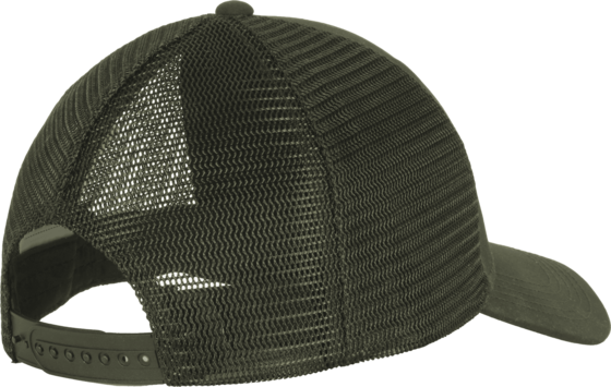 PINEWOOD Mesh Cap på