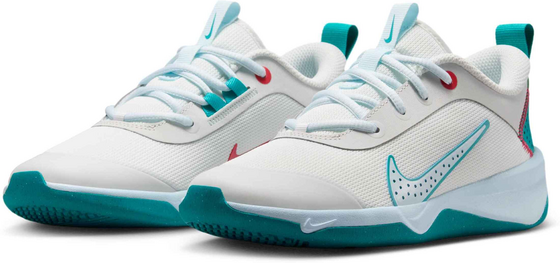 NIKE Older Kids' Indoor Court Shoes Omni Multi-court på