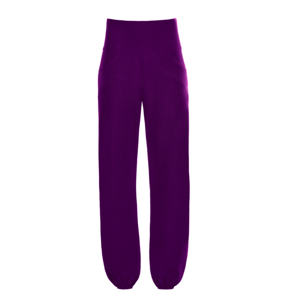 WINSHAPE Pants Cul102lc på