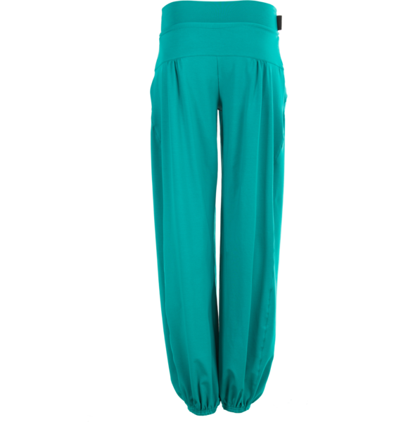 WINSHAPE Pants Wte3 på