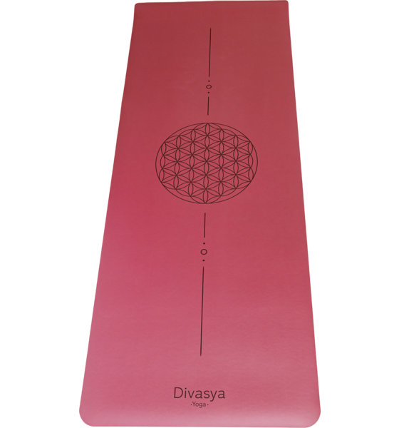 DIVASYA Professional Grip på