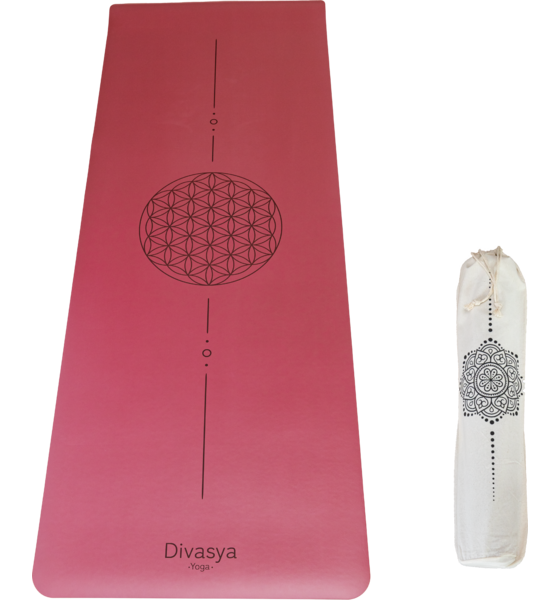 DIVASYA Professional Grip på