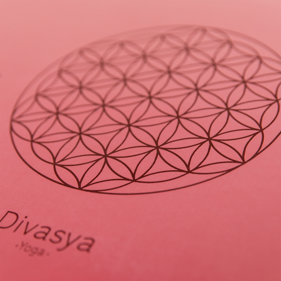 DIVASYA Professional Grip på