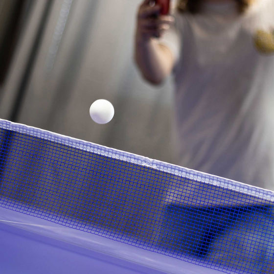 PROSPORT Prosport Ping Pong Table Elite på