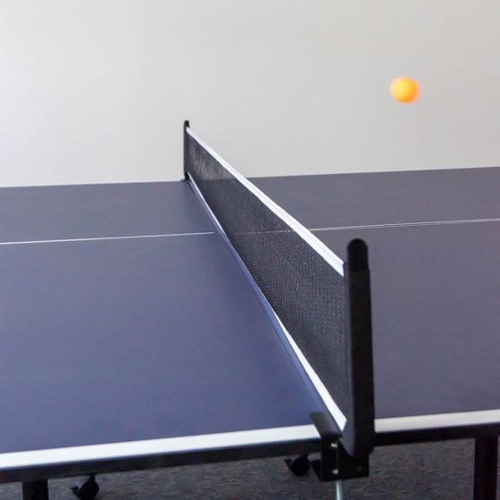 PROSPORT Prosport Ping Pong Table Official - Folding på
