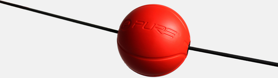 PURE 2 IMPROVE Pure2improve Target Trainer på
