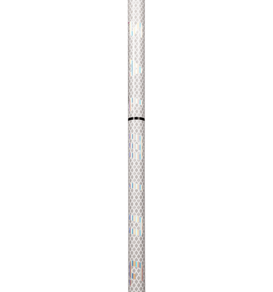 SALMING Q-series Aero Trident F29 på